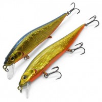 Vision MINNOW XS 98SP HGBL